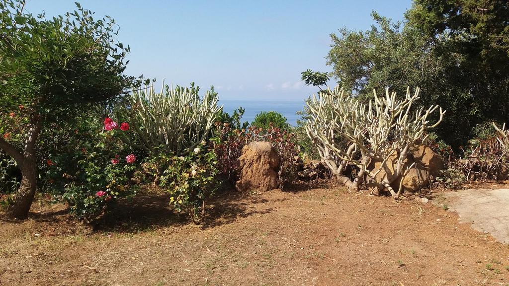 Villa La Rosa Pecorini 外观 照片