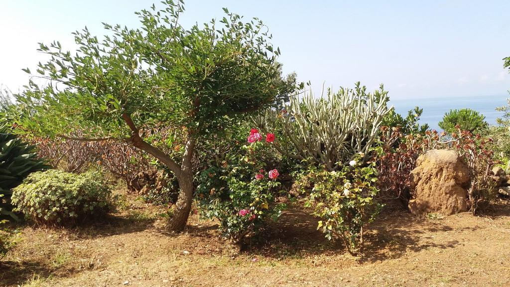 Villa La Rosa Pecorini 外观 照片