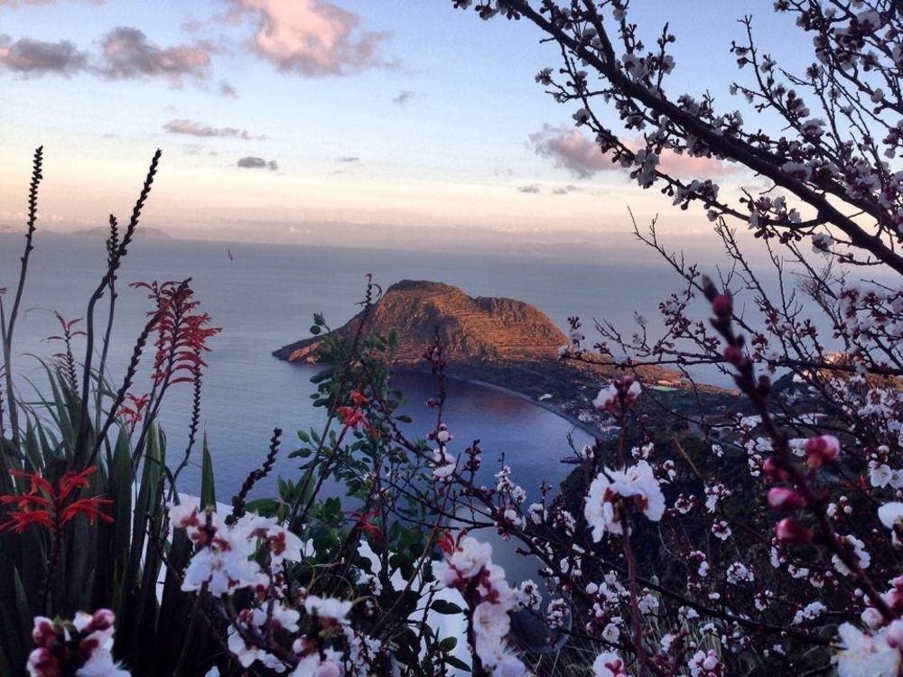 Villa La Rosa Pecorini 外观 照片
